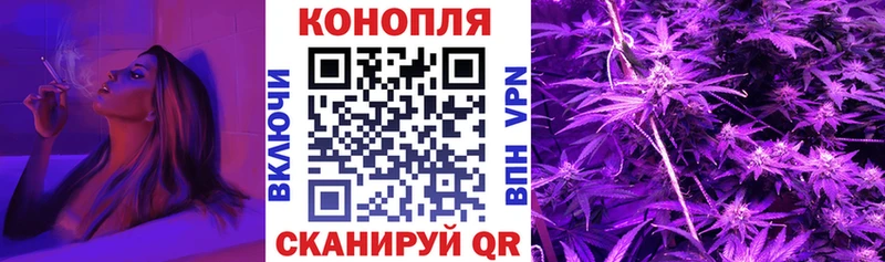 Сколько стоит Михайловск Cocaine  Псилоцибиновые грибы  Меф мяу мяу  Гашиш  NBOMe  Alpha-PVP  Конопля 