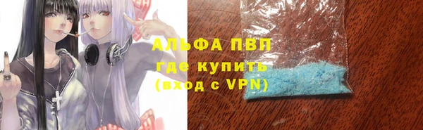 гашик Арсеньев