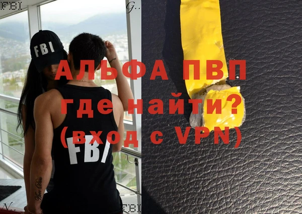гашик Арсеньев