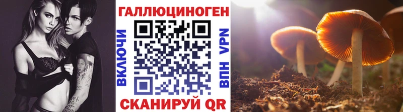Галлюциногенные грибы MAGIC MUSHROOMS  Михайловск 